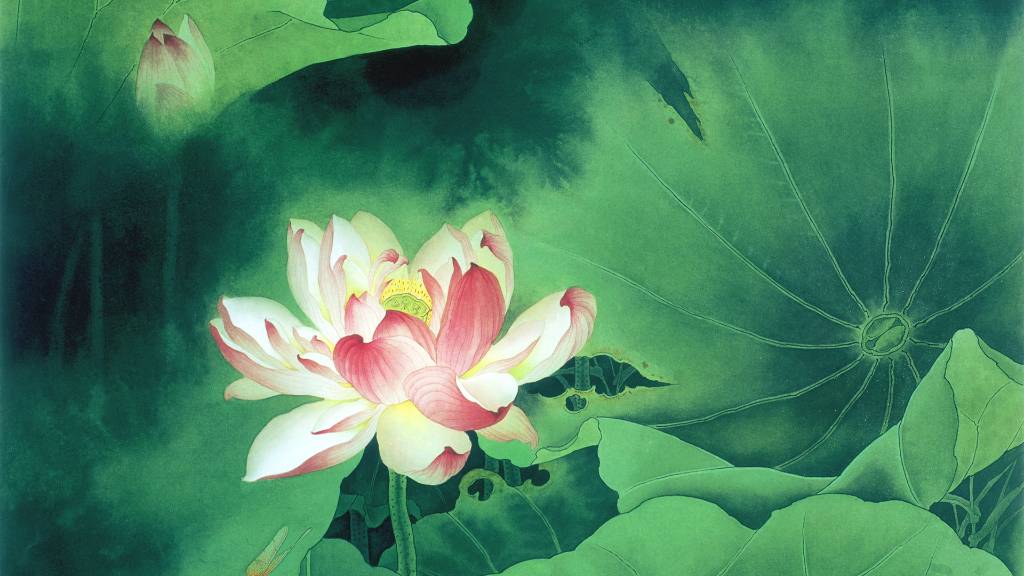 荷花